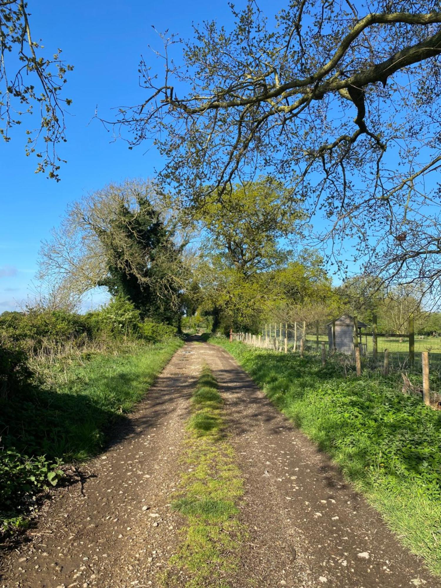 Blossom Lodge - Detached Bungalow Near Kings Lynn Narborough  Εξωτερικό φωτογραφία
